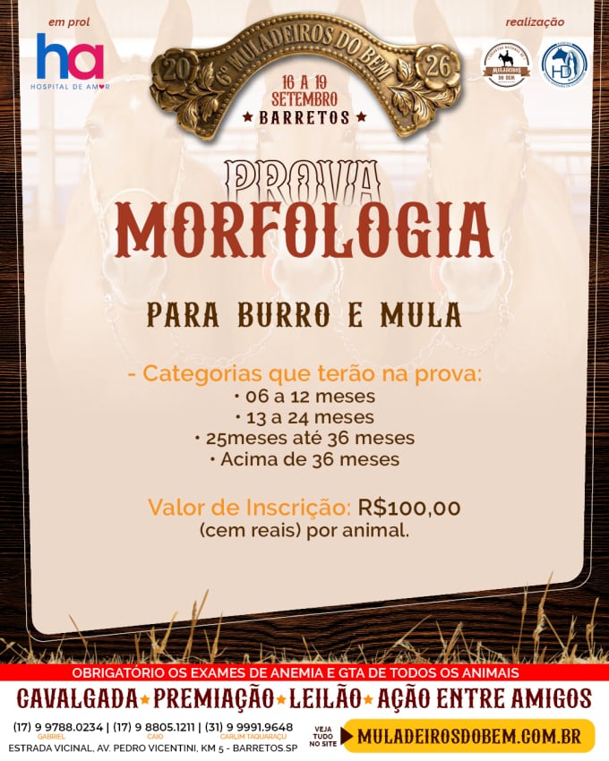 Muladeiros